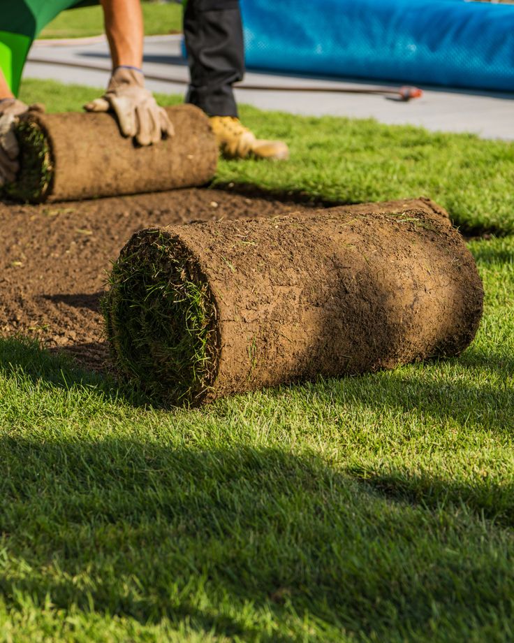 ۸ نکته طلایی برای انتخاب بهترین پیمانکار زمین چمن مصنوعی ⚽🏗️