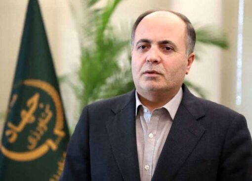 وزیر جهاد کشاورزی از تسویه کامل مطالبات گندمکاران خبر داد