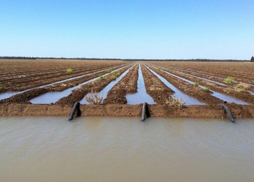 تخصیص ۵۱ میلیارد مترمکعب آب برای کشاورزی