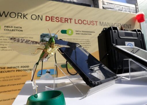 آشپزی به مناسبت روز جهانی غذا