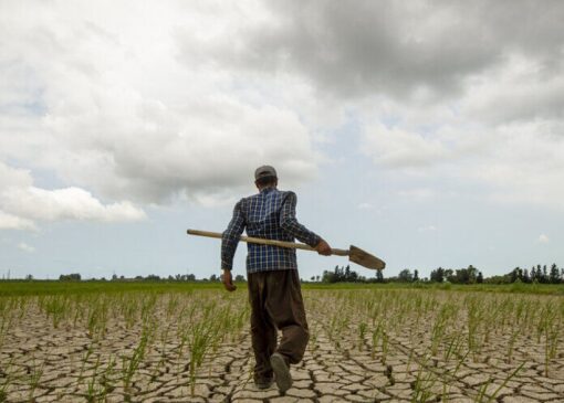 هشدار جدی نسبت به تداوم خشکسالی و ضرورت مدیریت مصرف آب