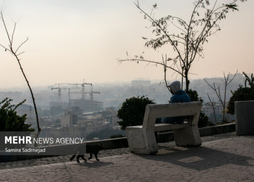تهران در چنگال آلودگی؛چرا برخی ادارات مصوبات اضطرار را نادیده می‌گیرند