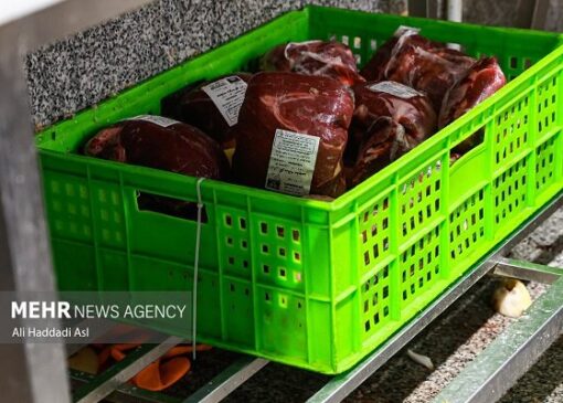 عرضه گوشت قرمز در کشتارگاه‌های رسمی به بیش از ۴۳ تن رسید